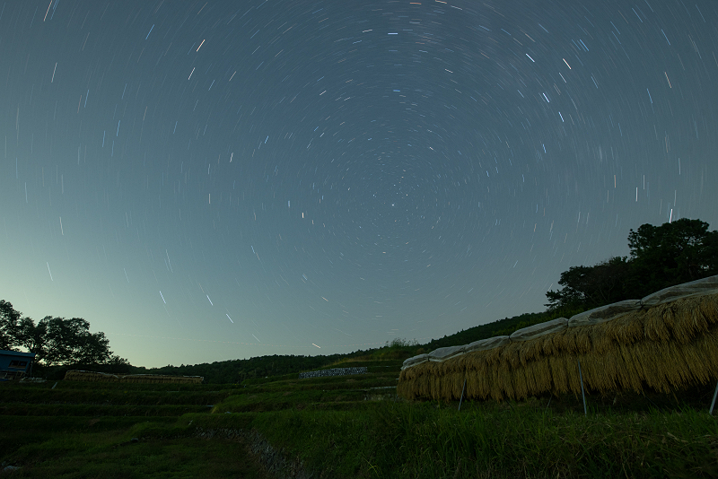s81A_1399.jpg