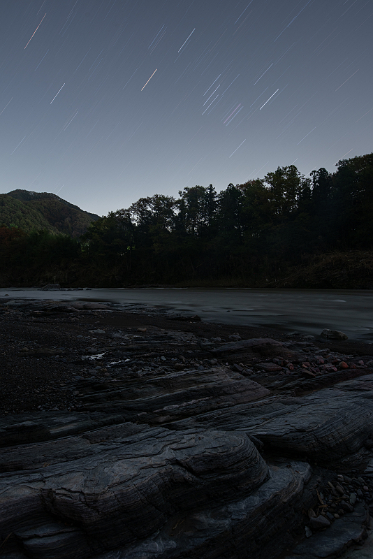 s81A_1469.jpg