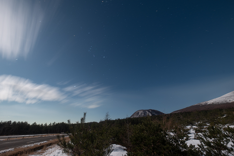 s81A_1487.jpg