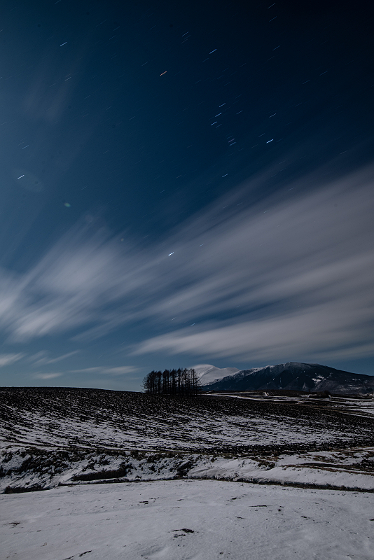 s81A_1498.jpg
