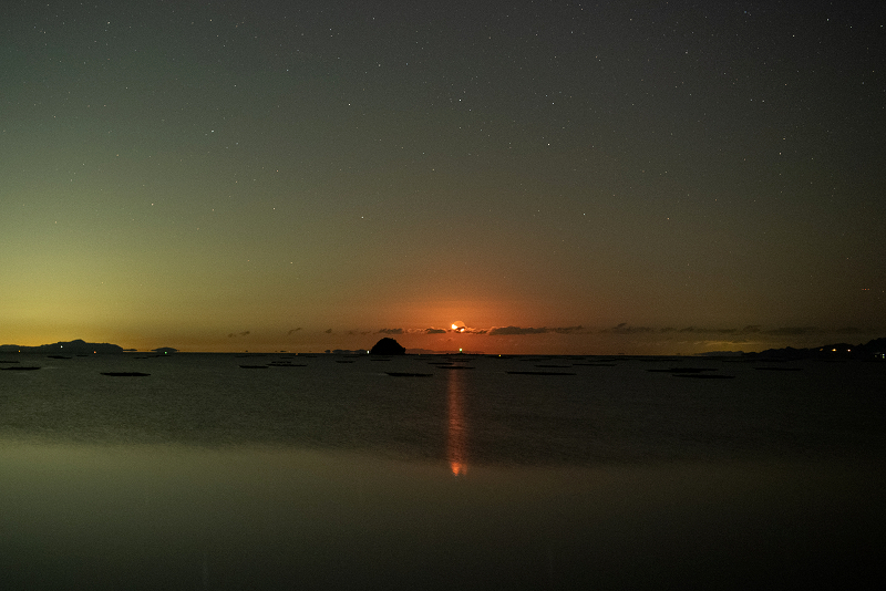 s81A_1636.jpg