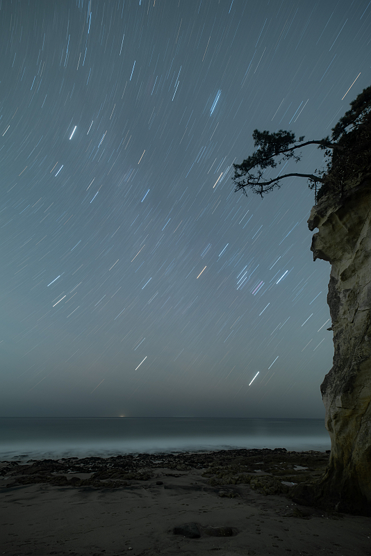 s81A_2933.jpg