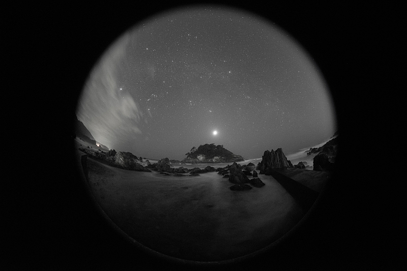 s81A_2962.jpg