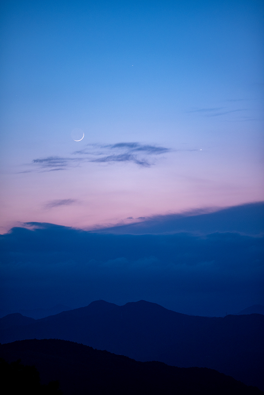 s81A_3131.jpg