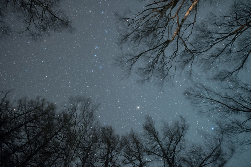 s81A_5595.jpg