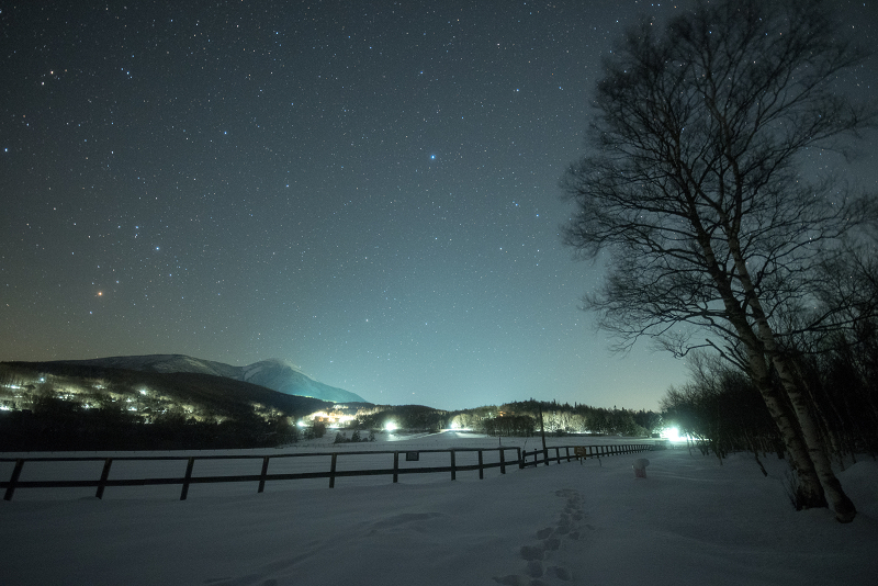 s81A_5634.jpg
