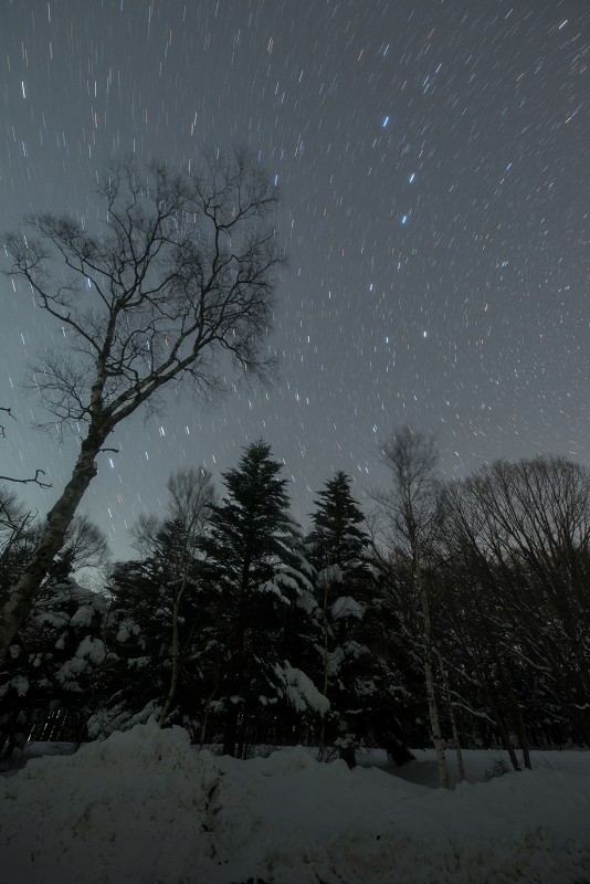 s81A_5650.jpg