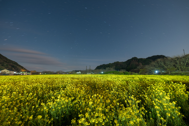 s81A_5710.jpg