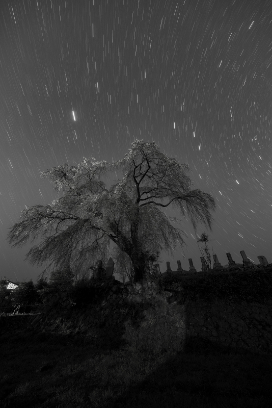 s81A_6025.jpg