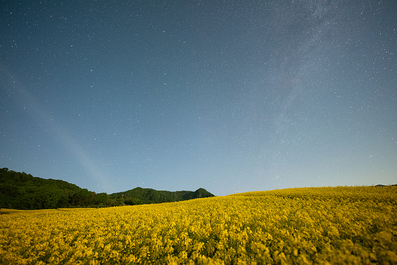 s81A_6983.jpg