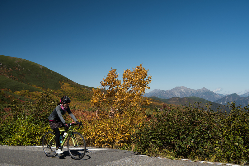 sDSC_3654-1.jpg