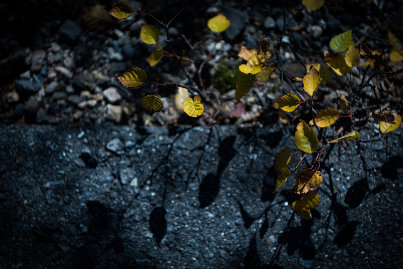 sDSC_3722-1.jpg