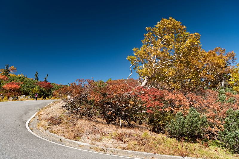 sDSC_3747-1.jpg