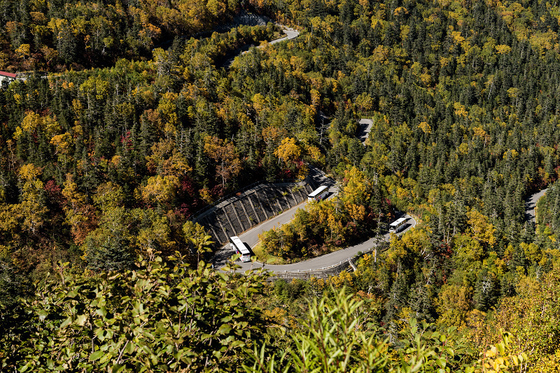 sDSC_3775-1.jpg