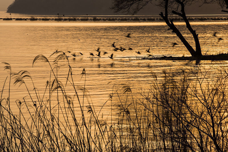 sIMG_0372-1s.jpg