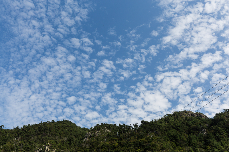 sIMG_2940.jpg