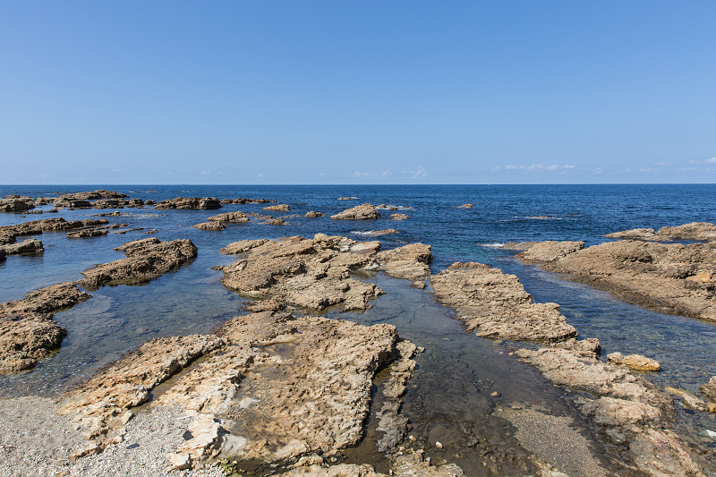 sIMG_2942.jpg