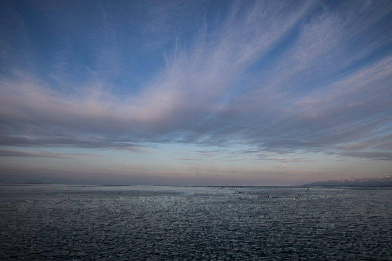 ssAO5A7430-1.jpg