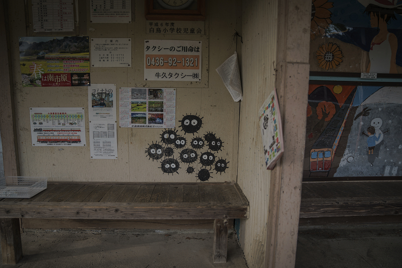 ssDSC02036-1.jpg