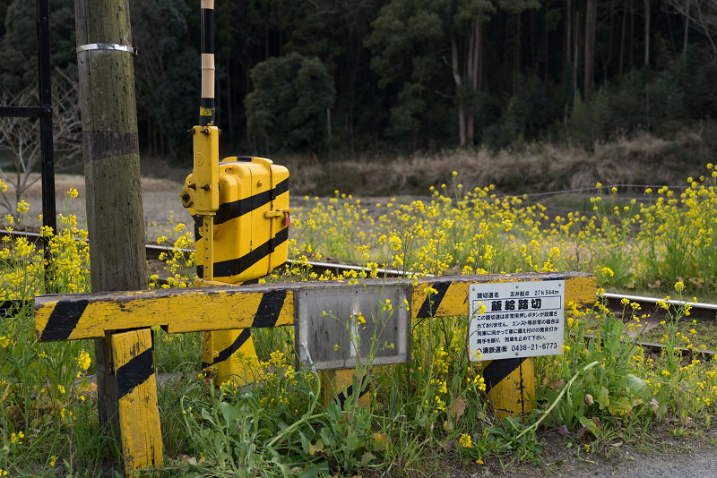 ssDSC02067-1.jpg