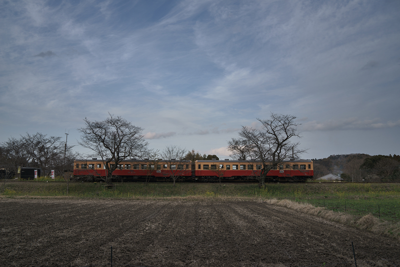 ssDSC02097-1.jpg