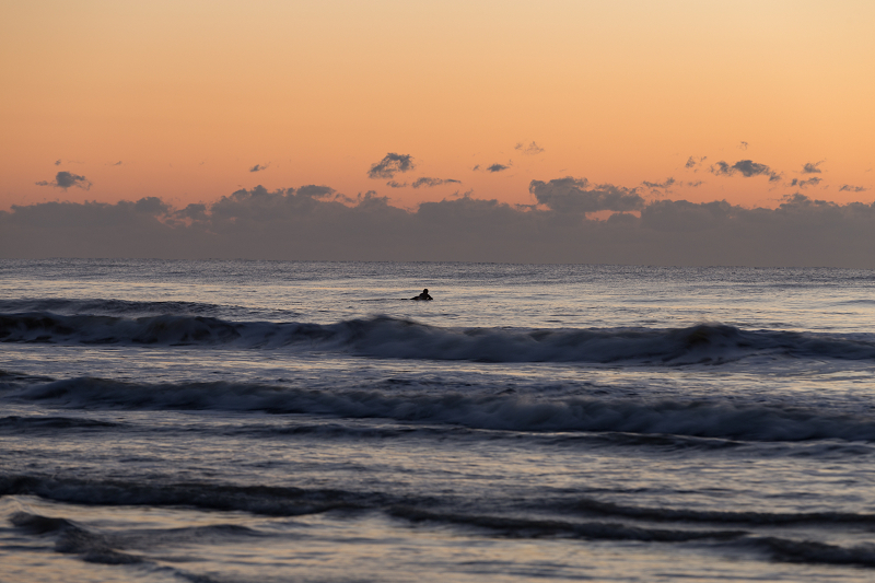 ssIMG_0884-1.jpg