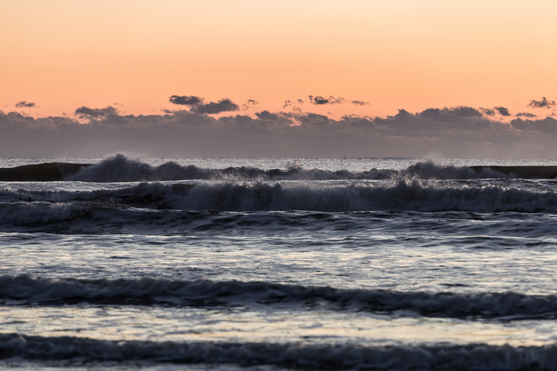 ssIMG_0893-1.jpg