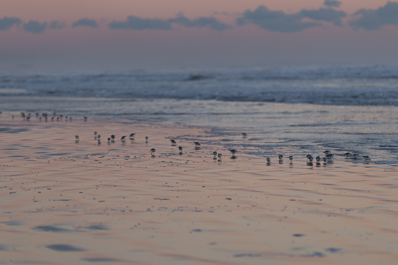 ssIMG_0986-1.jpg