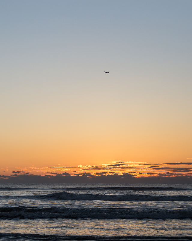 ssIMG_1060-1.jpg