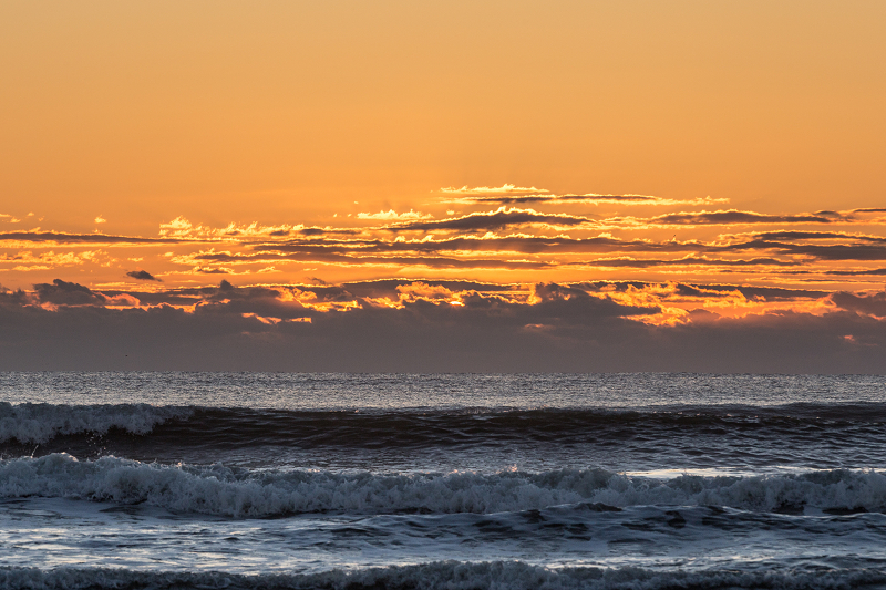ssIMG_1062-1.jpg