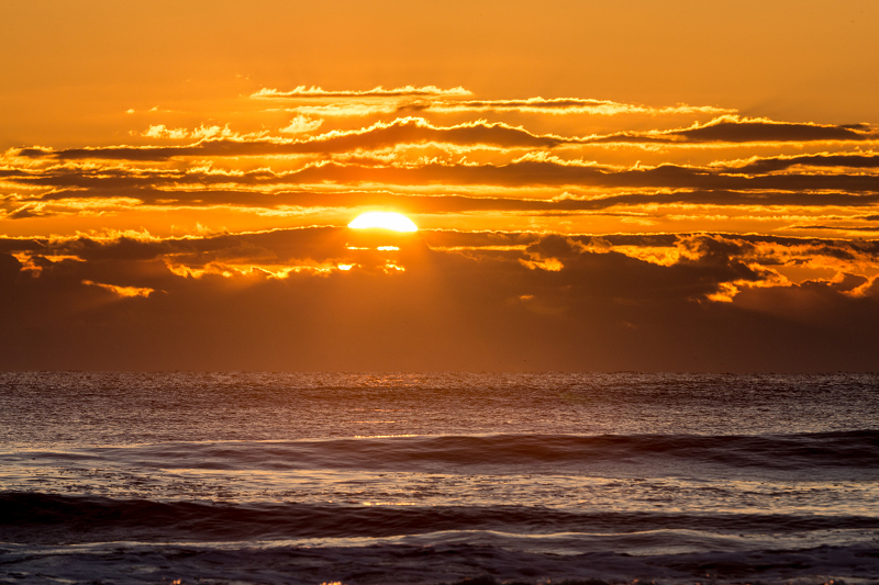 ssIMG_1070-1.jpg