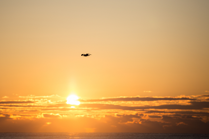 ssIMG_1100-1.jpg