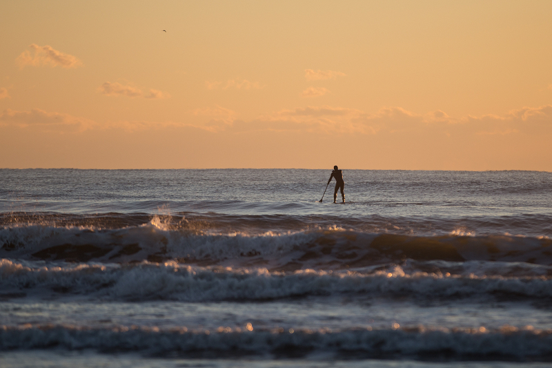 ssIMG_1133-1.jpg