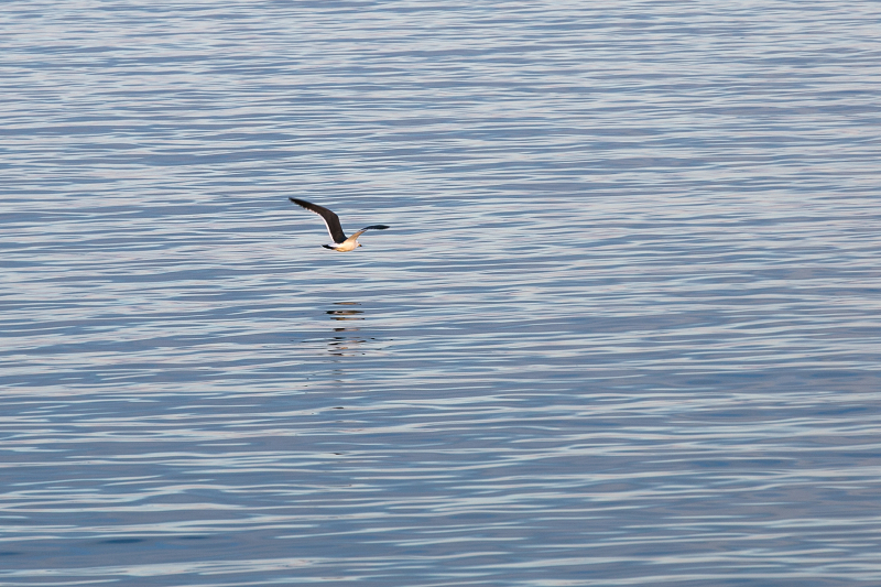 ssIMG_2352-1.jpg