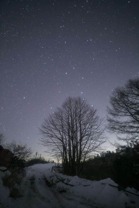 ssIMG_2745-1.jpg