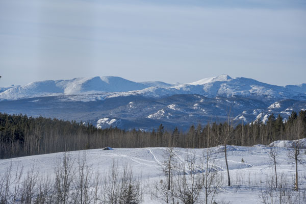 7C201268.jpg