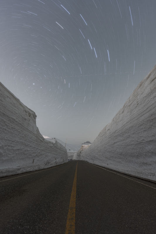 DSC05050-強化-NR_1.jpg